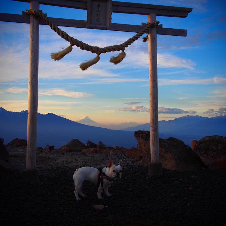 9fd575de d4f4 4088 bcae 909aff59621f