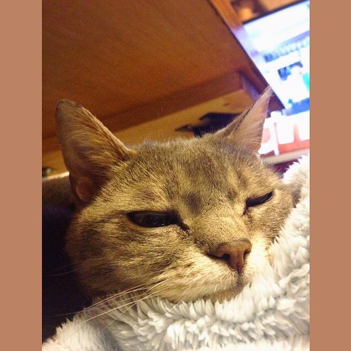 9fd58d72 e6e9 4eab a1ee e6cc37aff63c