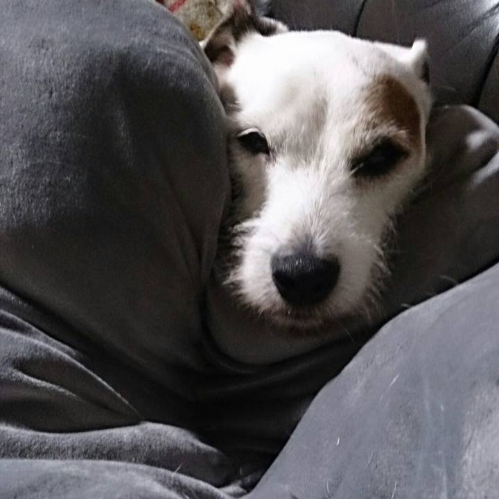 9fd5beec 8ac1 41b5 9220 c35c6e6955c8