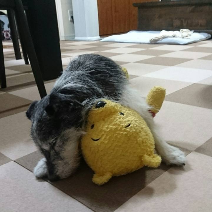 9fd5e1c7 ba3e 4aa2 9bd0 eaf19e3068db