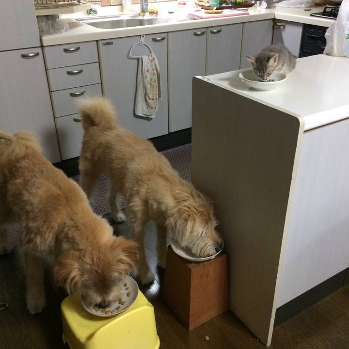 9fd66491 4cd4 41a3 9da0 d531bbdb7ca1