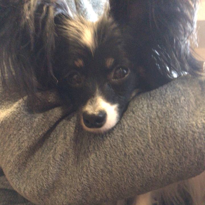 9fd71efa e845 47a4 a098 6cf6859a7ebf