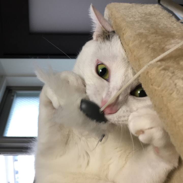 9fd768e9 0de7 4b2a b31a 83cdf3bc051d