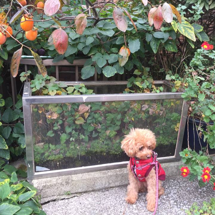 9fd797bc 97f3 4294 b8ec de9ec8f45516