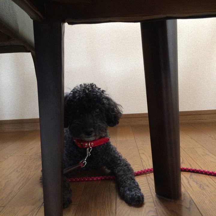 9fd827ee 8477 44ca b0a0 30cf6948eec8