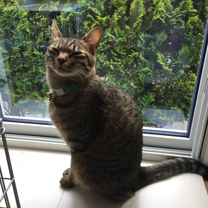 9fd88ad4 cc82 4c87 a04e 8af75a23530b