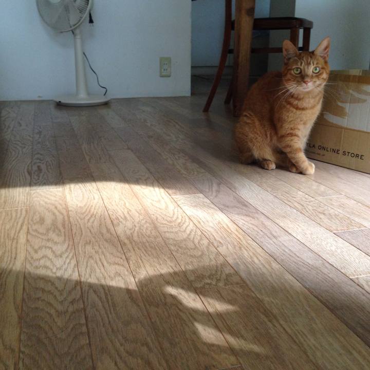 9fda4751 cd3b 4d68 8641 cd4237cd2ea7