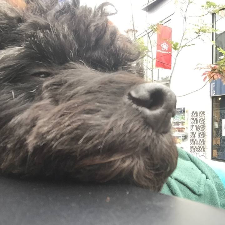 9fda5753 632e 4216 bcf1 c4c08c9066ac