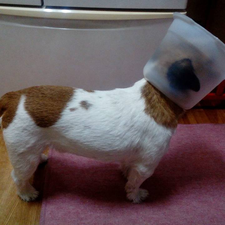 9fdadeef 3dd3 425f 85c8 f9144ffab4f8