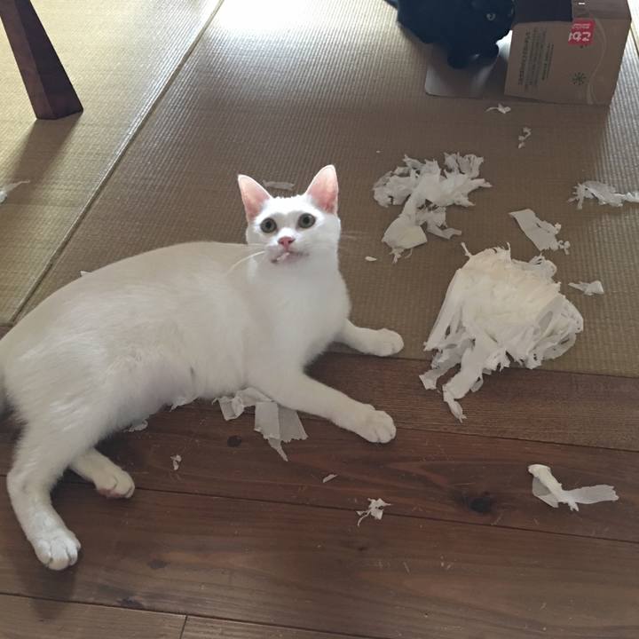 9fdb78ec 855c 4be6 8784 d444ace62add