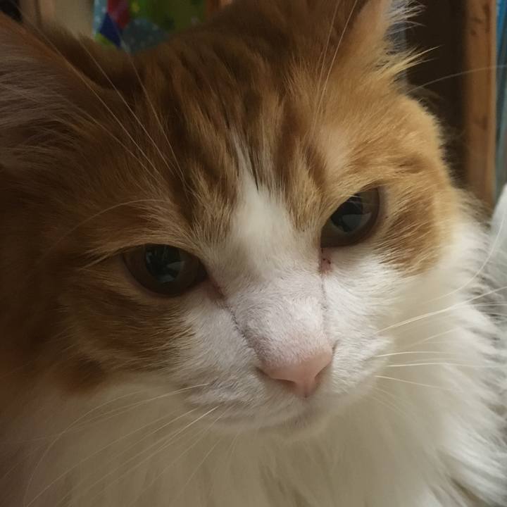 9fdbda5b bfa3 4f82 a459 a6643ac3edaa