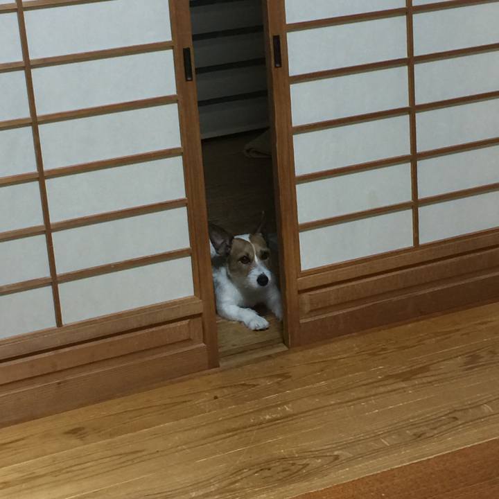 9fdc6fcd 1cba 4f59 8c48 345918bb0f6e