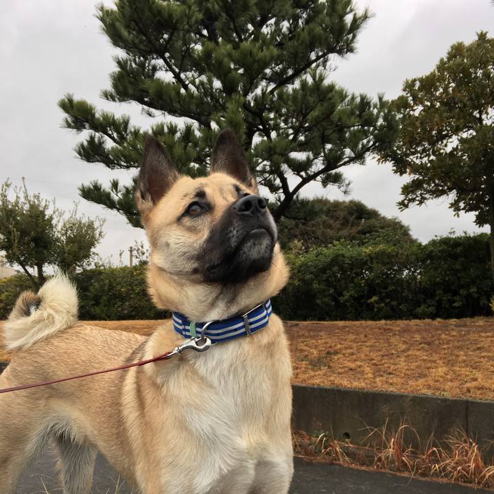 9fdcaf33 3366 4ce9 8956 9074bc00caa4