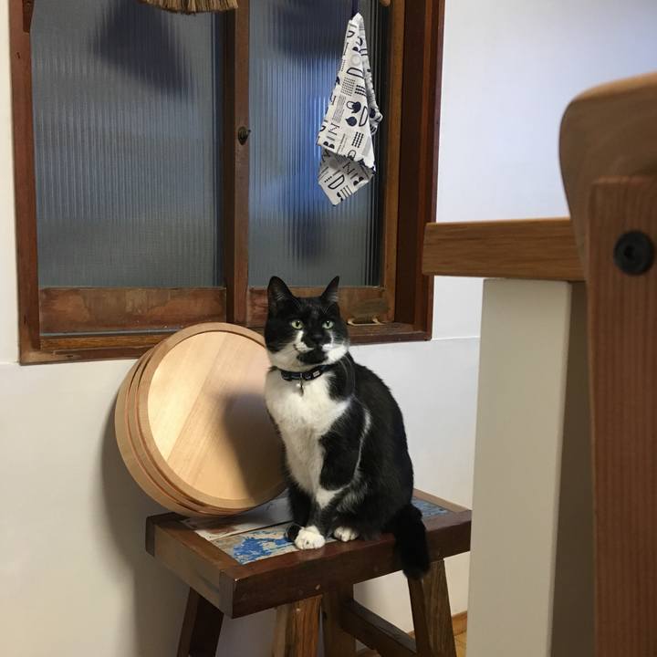 9fdd2d63 913f 4888 8ff4 753bf401e644