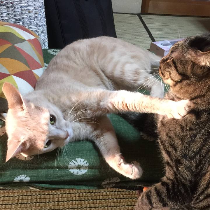 9fde93f9 fcc0 4c94 969d 2028ab98df3a