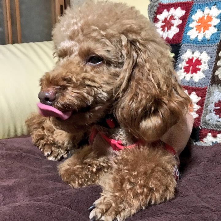 9fdf0bd5 7022 4bf8 8cbe 403cd85eeb8a