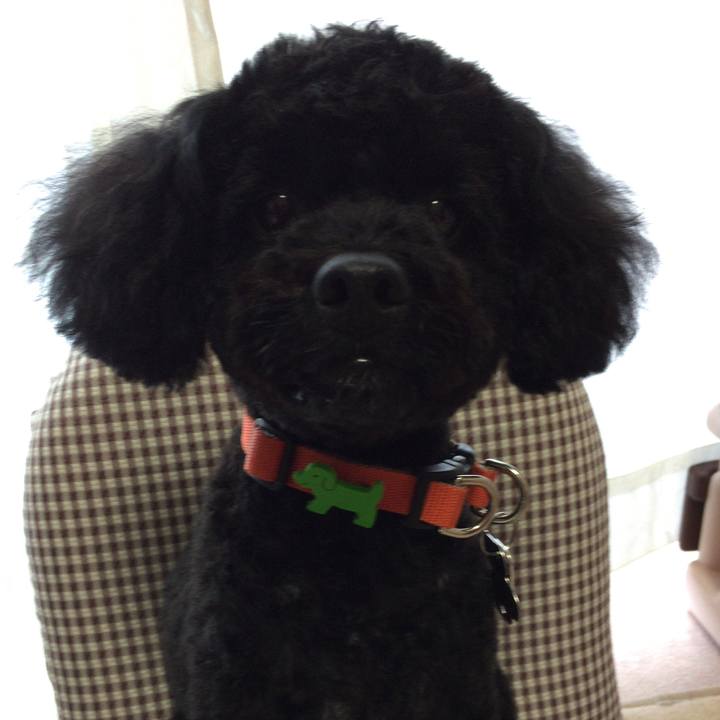 9fdf2bfb e59a 492a 91fa 7267054b6fc4