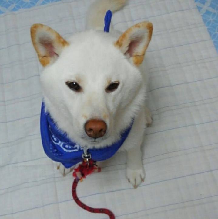 9fdfb9cb c74b 4f2c 822b 6d0e577a5f3c