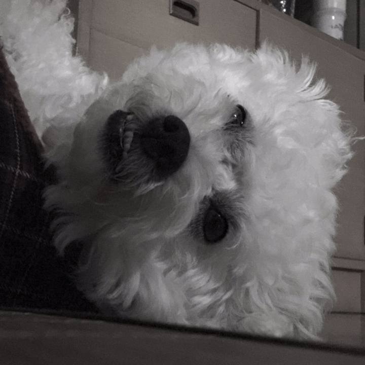 9fdff573 805f 4d7e be06 67f96766d066