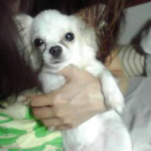 9fe08b99 56f8 46ea af4c b82d646939ae