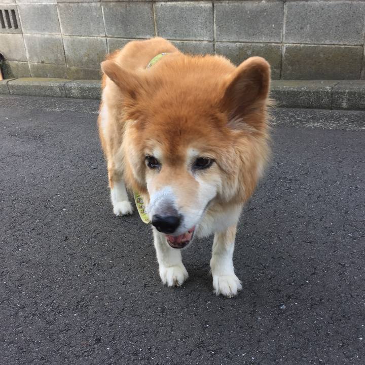 9fe0cdde 31f7 4c4f b1da f25b95928bbc