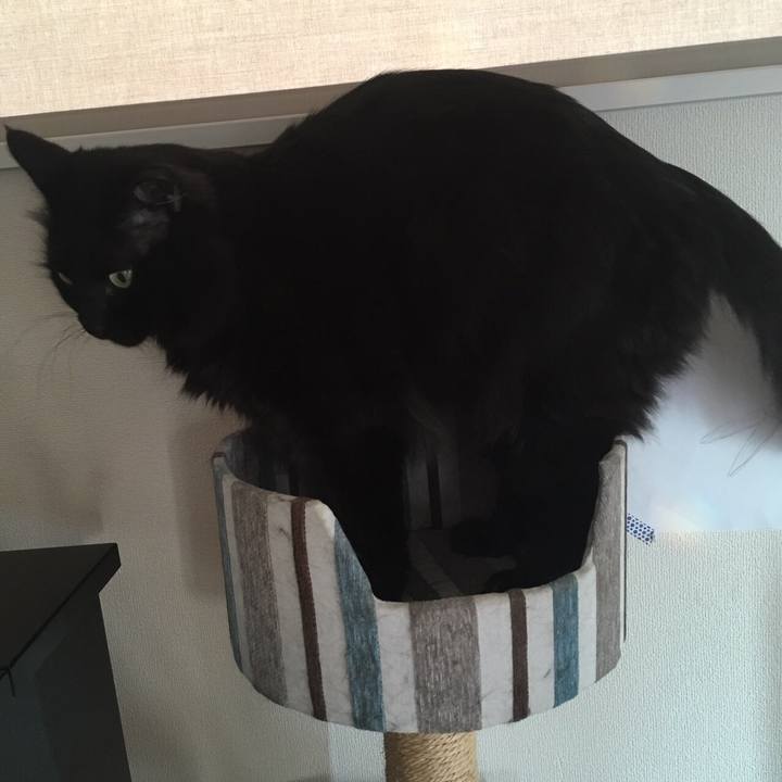 9fe0f18b f7c2 4c85 8612 b9c3e352ae67