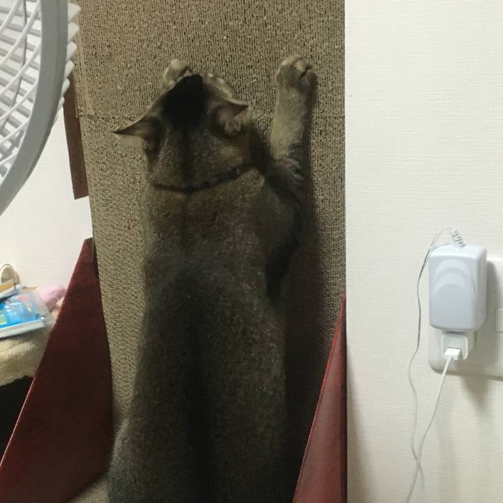 9fe1c394 8820 4378 8a32 dadaa5c880f4