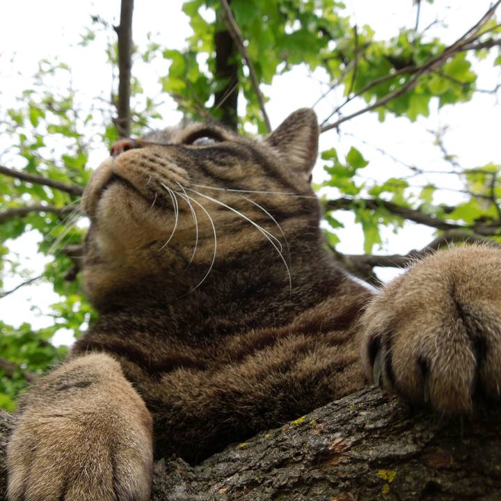 9fe219c4 fa8b 4d86 8e71 21696536f7f2