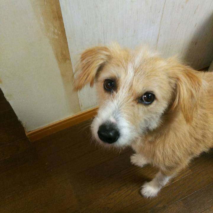 9fe343b7 73dd 4051 a41f 50c1fc4641b5