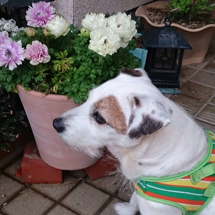 9fe343dd ff88 4138 bc01 cd6b9a3daa37