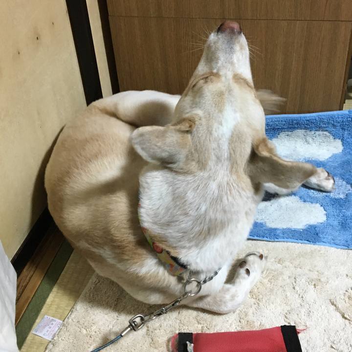 9fe41ffe 8d97 49f7 bca3 e5667b3aed46