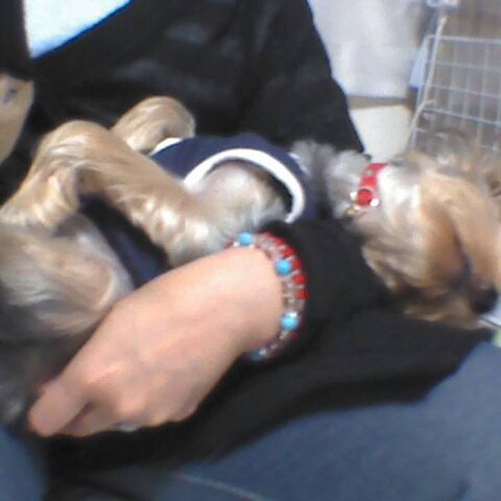 9fe4a927 382e 4592 9bf0 830a6f1f4bc6