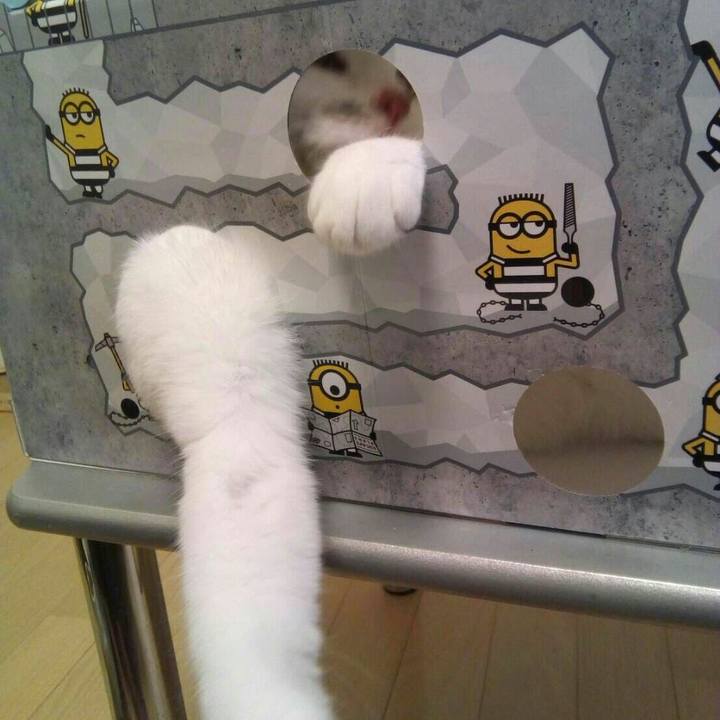 9fe53378 0f3e 4295 b18c 517bf9b4517d