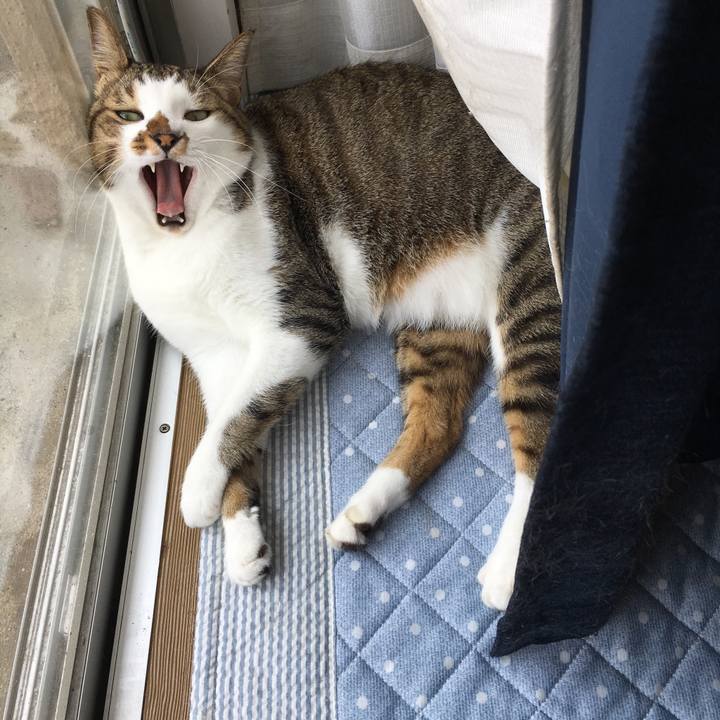 9fe653f7 3634 4d63 8796 f01a10980454