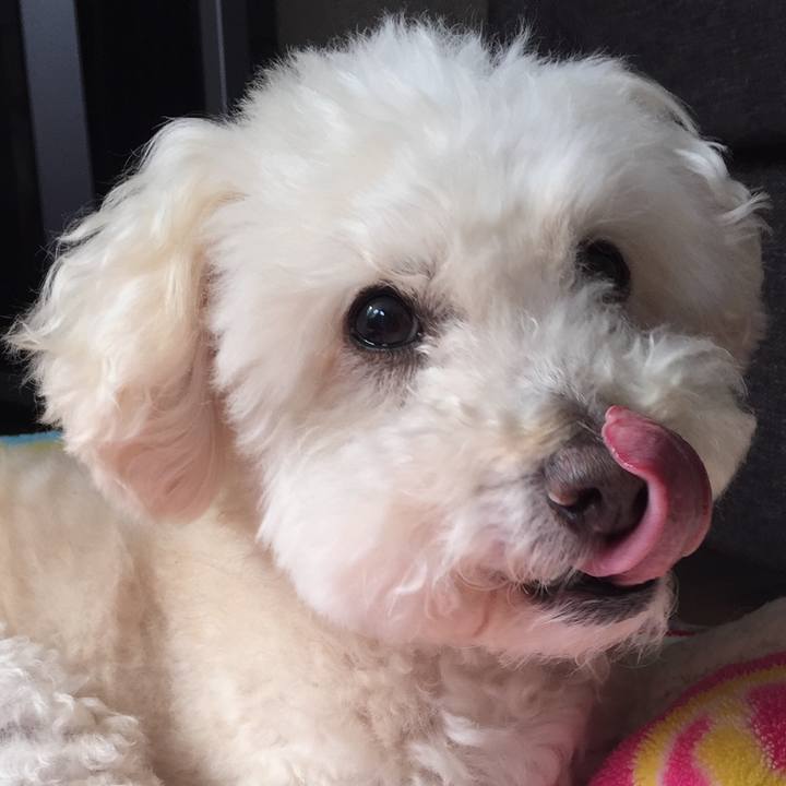 9fe69133 59de 473e 855f 3e770c314c58