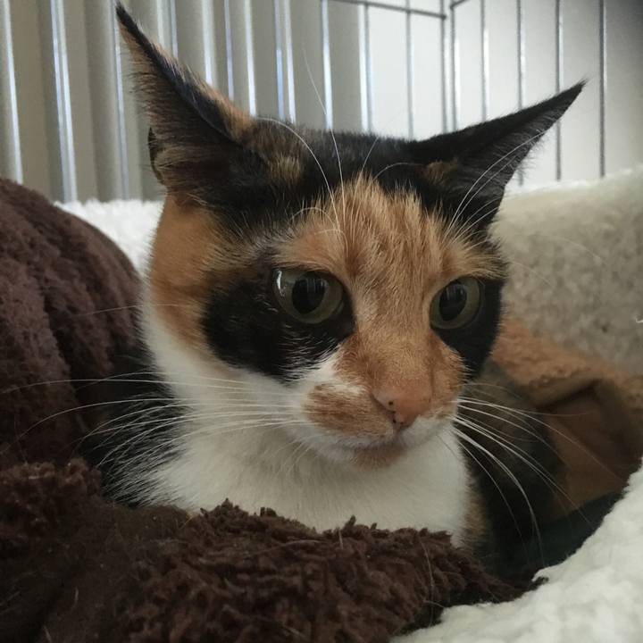 9fe6aa1a 5d35 4721 9fef 118057195da9