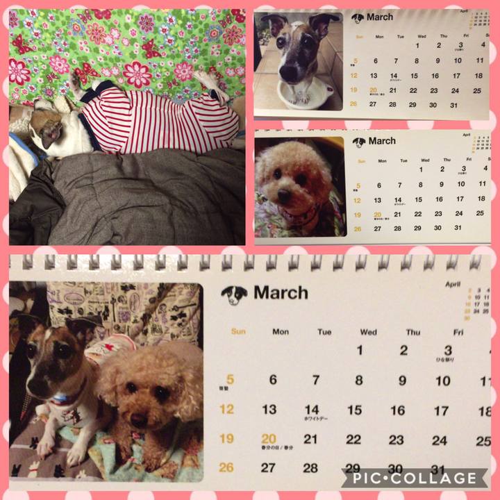 9fe6b1da 0a42 4783 8af7 04446504d5ab