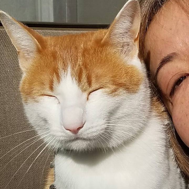 9fe6b25d 19ee 4698 96d7 4fc226febb26