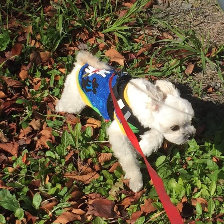 9fe76143 ed26 4b75 9872 aa2cd92600ba