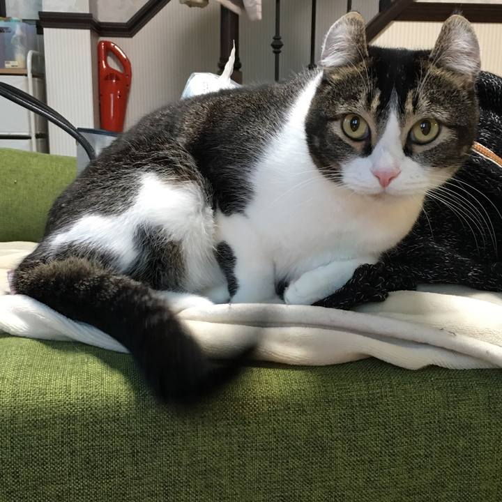 9fe773d0 7bb2 4d2a bb1d 062f8e0ef9d0