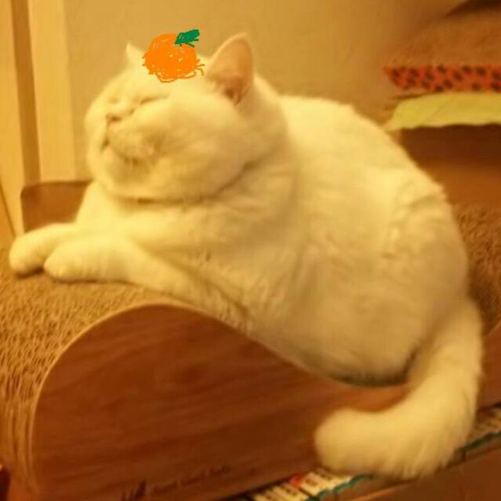 9fe7d5e6 b7ee 4d96 b6a4 ccf53f9fb320