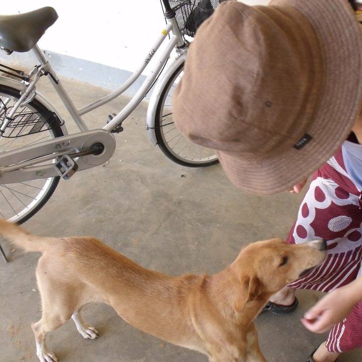 9fe7e6ca 997c 4de4 a602 594a5843cf39