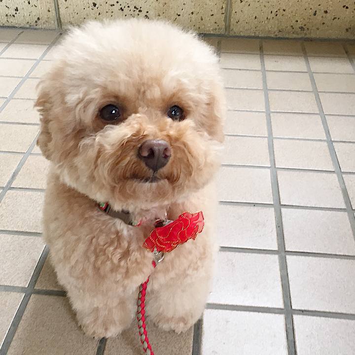 9fe815e5 9035 449f 8ddb e3c25be95d95