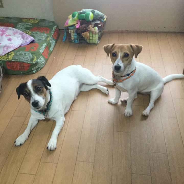 9fe84656 e857 4978 993b 2dfdec0258a7