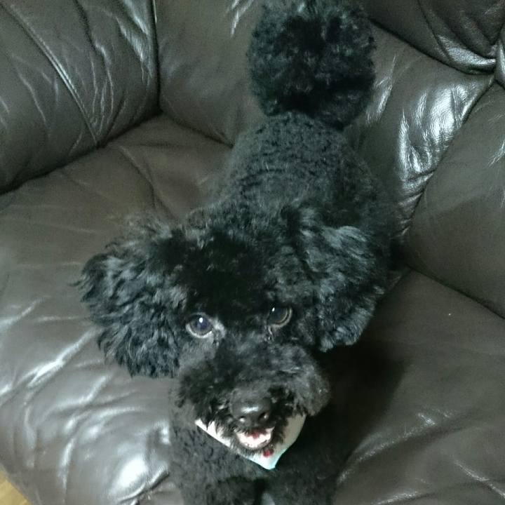 9fe8b5fc 5c99 4997 96f4 38005291c60f