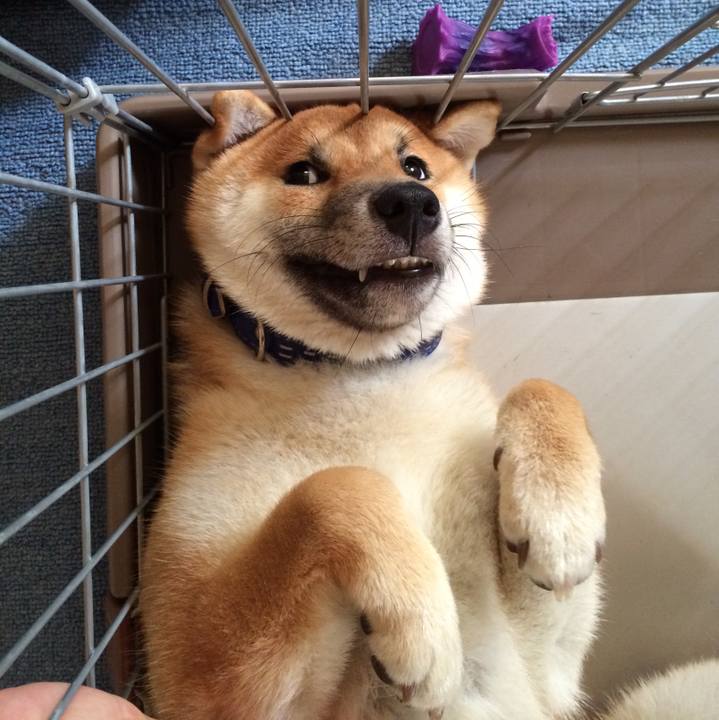 9fe9435d 1360 4b2c 9aeb b36b6f2f2a64