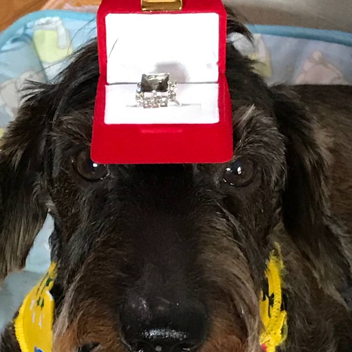 9fe94540 50a6 44e4 97ae 9c37cedf365f