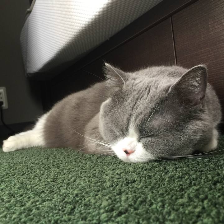 9fe96ae3 f3bc 4c70 b9fb 201182ff2846