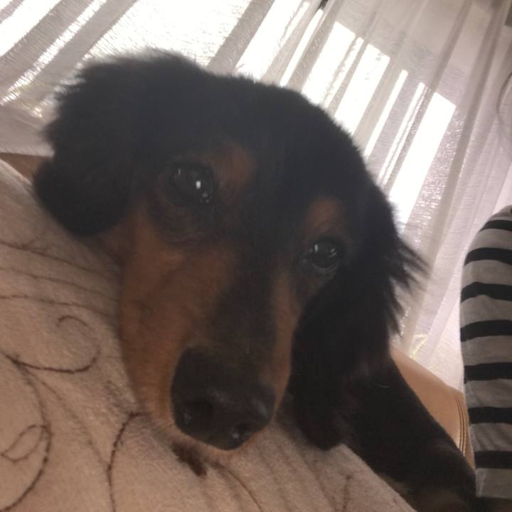 9feb49d4 a502 4f09 b1bb 1b13ce0bfde6