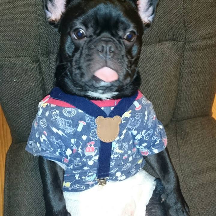 9febba38 67ba 4c7f 8336 829f7f95d109